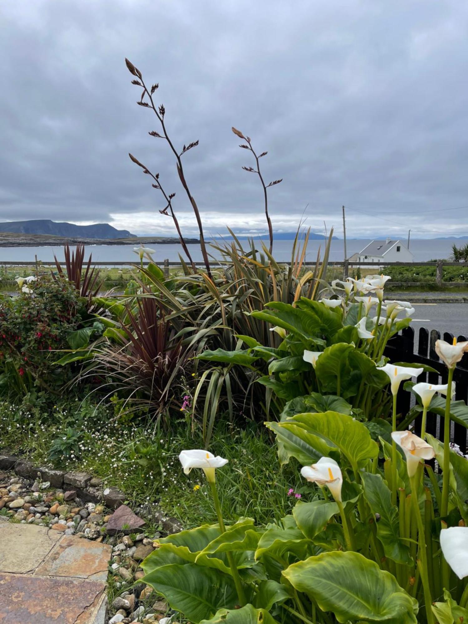 Teach Cruachan Large-Group Holiday Home Dooagh Exterior photo